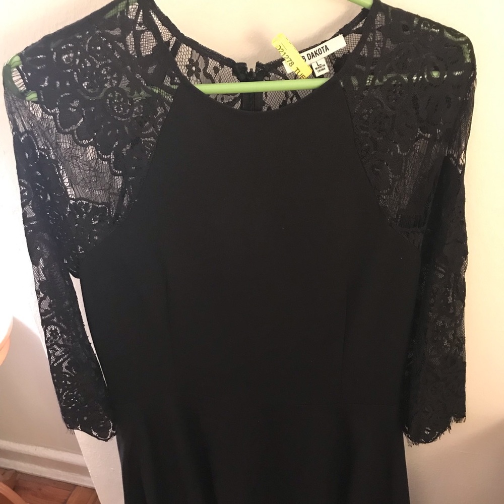 BB Dakota lace skater dress